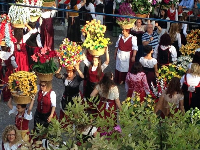 Bouquets of every flower type