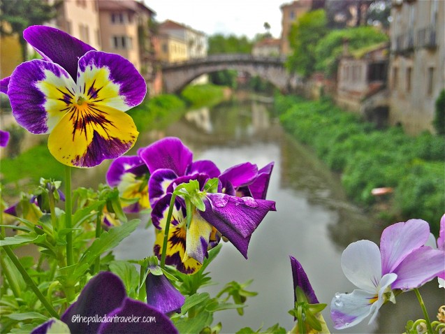 Far from Madison County: The Bridges of Vicenza | ©thepalladiantraveler.com