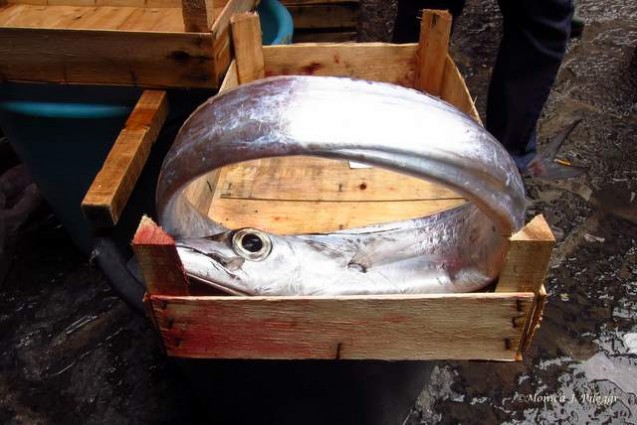 catania-fish-market1