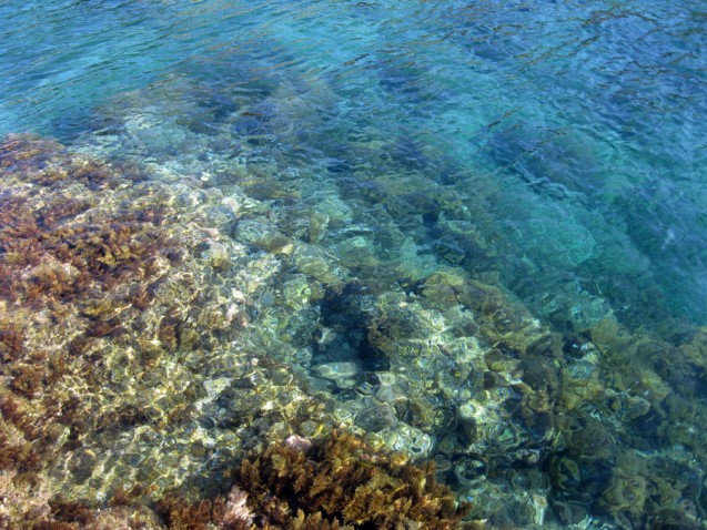 Giannutri-sea---clear-as-glass