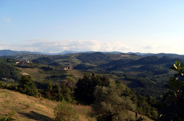 Hills of the Oltrepo