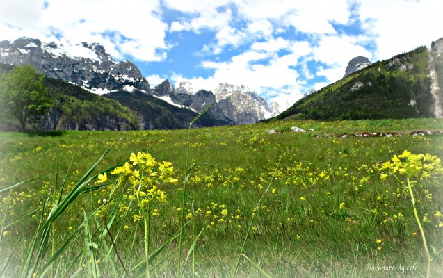 Italian Notebook l Dolomites l ornaoreilly (25)