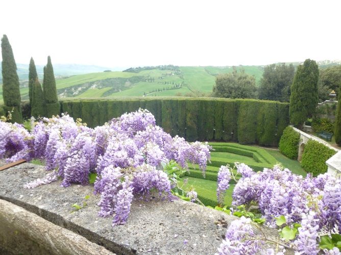 may-flora-spring-umbria2