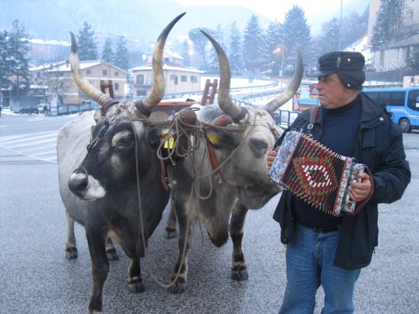 Peppe di Lillo plays a Pasquarella for his oxen