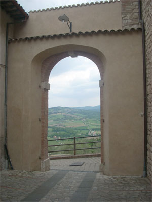 todi21 todi2