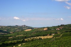 Panoramic view