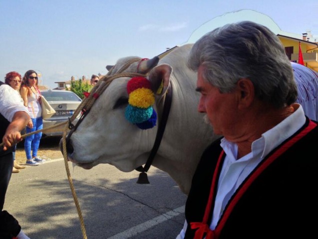 urbano-and-his-calf-637x478-1 URBANO AND HIS CALF