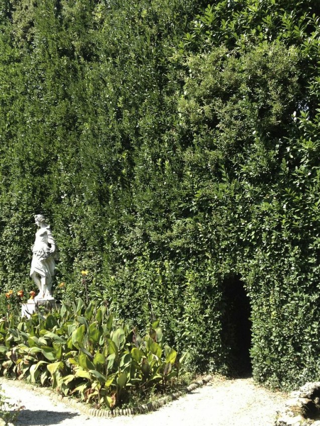 villa-reale-passage-from-gardenzsqsjscqd5dn5w-l1kxhdoi7vxvib9253uftp-dxgos-637x849-1 Walk through the opening in the bush-wall